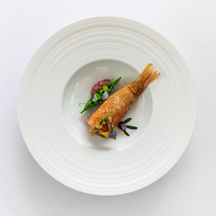 Gericht angerichtet auf weißem Teller